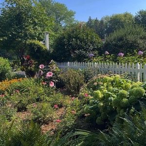 Meet your Posher, Jaime